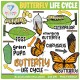 Butterfly Life Cycle Clip Art