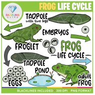Frog Life Cycle Clip Art