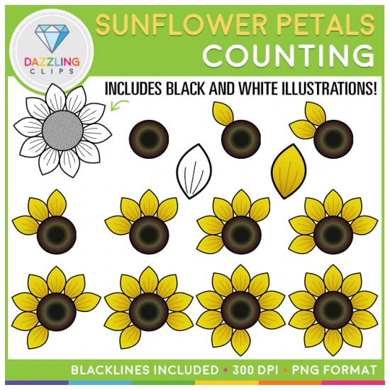 Sunflower Petals Counting Clip Art